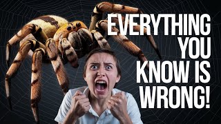 Why Spiders Aren’t as Dangerous as You Think (The Truth Will Shock You!)