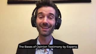 Random Rules! -- Expert Witnesses in your Child Custody case (Rule 703, Ala R Evid)