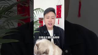 养猫不养肠，到头全白忙 。科学养宠攻略 新手养猫 猫咪益生菌 宠物肠胃宝 养猫人