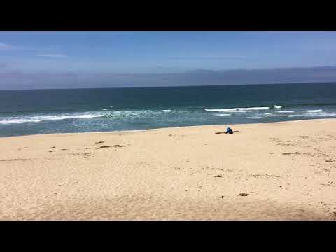 Grey Whales, Half Moon Bay, CA Grey Whales, Half Moon Bay, CA