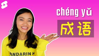 Learn Chinese Idioms 成语