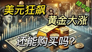 现在还适合买入美元黄金吗？美元与黄金的终极投资逻辑精华版｜美元黄金同时大涨背后的原因｜布雷顿森林体系是什么？为什么有段时间美元也叫美金｜对抗人民币贬值最保险有效的方法！理财投资必看