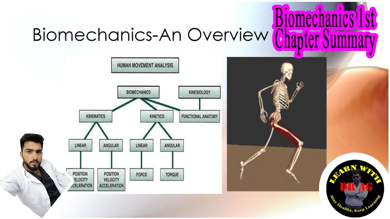 What Is Biomechanics? Why We Study Biomechanics? Branches Of ...