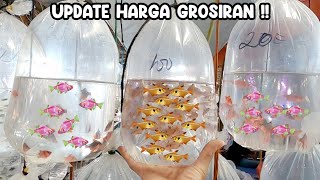 UPDATE HARGA GROSIRAN‼️PASAR IKAN HIAS PARUNG‼️