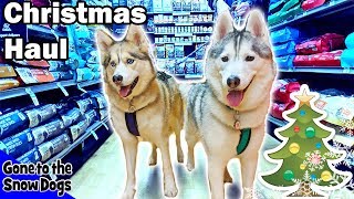 Dogs Go Shopping at Petco for Christmas | Petco Christmas Haul for Dogs