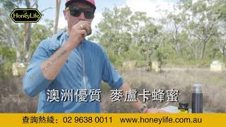 Honeylife澳蜂宝麦努卡蜂蜜-中文