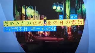 ホロホロ東京     小林旭 / 阿闊