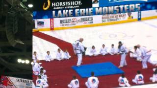 Riverview Martial Arts demo at Lake Erie Monsters Game