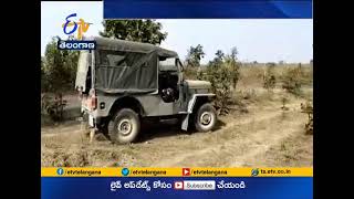 Tiger Fear to Continue | in Adilabad Dist