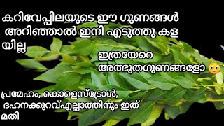 കറിവേപ്പില ദിവസവും ഭക്ഷണത്തിൽ ഉൾപെടുത്തിയാൽ ഇത്രയേറെ അത്ഭുത ഗുണങ്ങളോ😳 /curryleaves benefits