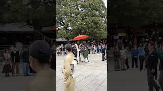 Meiji Jingu @Tokyo#meiji#meijishrine#Tokyo#japan#meijicollagen#tokyotravel#japantrip#japantour