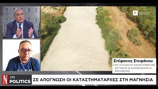 Νεκρά ψάρια στον Παγασητικό: Σε απόγνωση οι καταστηματάρχες στη Μαγνησία