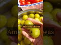 amla mukhwas dry amla mouthfreshner amla sounf shorts