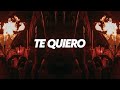 Stromae - Te Quiero (Tasty Or Not Afro House Remix)