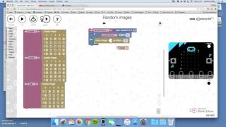 7. Random - Display random images
