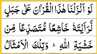 Lau anzalna hazal Quran | heart touching Quran recitation | beautiful Quran tilawat | Usama Ali