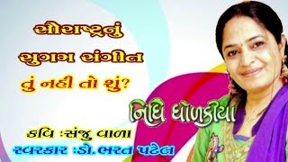 તું નહિ તો શું । સુગમ સંગીત । નિધિ ધોળકીયા । ભરત પટેલ । Tu Nhi To Shu   Nidhi Dholakiya Bharat Patel