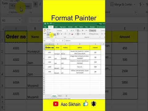 Use Format Painter in excel