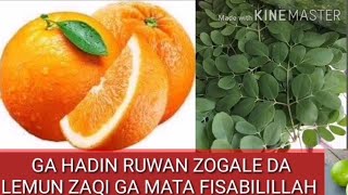 GA HADIN RUWAN ZOGALE DA LEMUN ZAQI GA MATA FISABILILLAH.