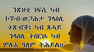 MASHO ይቱብ  is live!#ንፅህቲ ነፍሲ ካብ ኮኾብ ወጋሕታ ንላዕሊ \