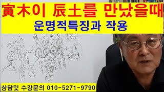 인목이진토를만났을때 운명적특징과작용