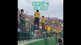 20240609　ﾗｲﾄｽﾀﾝﾄﾞ下段から【#突撃四発】　#shorts　阪神ﾀｲｶﾞｰｽ　4連　4連発@阪神甲子園球場･ﾗｲﾄ外野 日本生命ｾ･ﾊﾟ交流戦