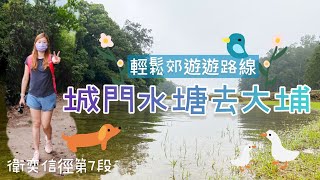 【行山郊遊】城門水塘去大埔｜輕鬆郊遊遊｜親子路線｜初級路線｜樹蔭指數高｜衛奕信徑第7段｜13公里｜4.5小時路程