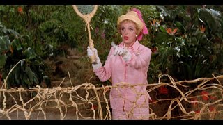 THE DEATH OF NATALIE SCHAFER