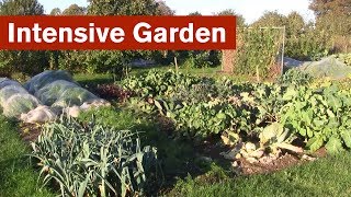 Intensive Garden Introduction