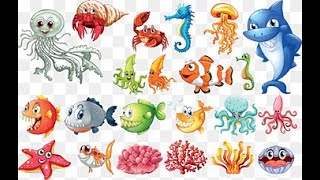 LEARN WATER ANIMAL|TEACH FISH NAME|SEA ANIMAL AND FISH|NURSERY CLASS|PRESCHOOL|20 जल जंतुओं के नाम