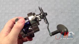 Daiwa Saltiga SA20 Conventional Reel - J\u0026H Tackle