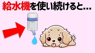 保存版【実は犬にやってはいけないこと11選】命にも関わる大切な話 #雑学 #豆知識 #トリビア