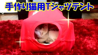 Making a tent made of T-shirt for cats