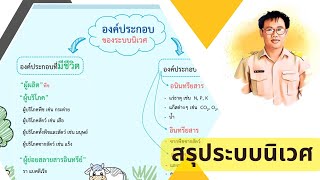 1.4 สรุปก่อนสอบ เรื่องระบบนิเวศ