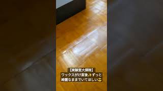 実験室の日常Ⅱ㊸#Shorts