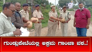 ಗುಂಡ್ಲುಪೇಟೆಯಲ್ಲಿ ಅಕ್ರಮ ಗಾಂಜಾ ವಶ | Gundlupete | Ganja | llegal | NEWS6 KANNADA |