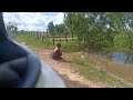 តោះដល់ខែស្ទូចឆ្លាំងហើយ​ how to fishing catfish​ pskhdaily fishing catfish entertaiment 4k