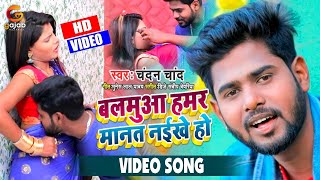 Video | Chandan Chand | Holi Mein Suchana Jaari Ba Holi Song 2024