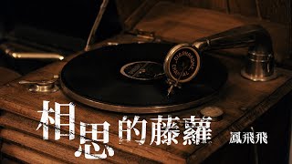 鳳飛飛-相思的藤蘿 #經典歌曲 #動態歌詞 #Lyrics