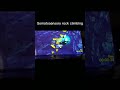 somatosensory rock climbing game interactive projection all in one ar somatosensory interaction