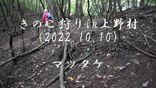 きのこ狩りin上野村(2022.10.10)マツタケ