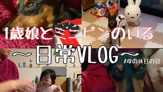 【〜ミニピンと1歳娘のいる日常〜】〜ミニピン・エイト家の日常VLOG〜