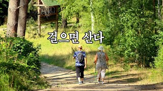 걸으면 산다 /하루 걸음 수와 운동 효과