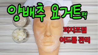 양배추 요거트팩으로 피지조절, 여드름 관리하세요!!!