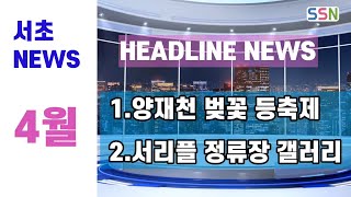 알쓸시정 4월 : 알아서 쓸모있는 시니어 정보 (양재천 벚꽃등축제, 서리풀 정류장 갤러리)