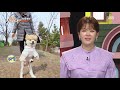 두 발로 서서 걷는 ‘이족 보행’ 강아지 쪼꼬☆ㅣ순간포착 세상에 이런 일이 instant capture ㅣsbs story