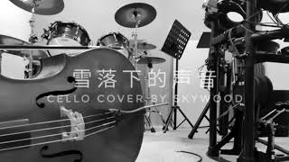 雪落下的声音 - cello cover