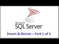 SQL Server -- Inserting and Deleting Records Tutorial   Part 1 of 5 -- SSMS