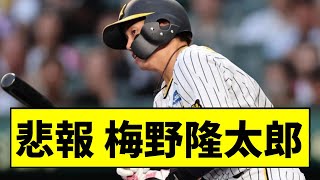 【阪神】梅野の配球がガチのマジでヤバすぎるｗｗｗｗｗｗｗｗｗｗ【2chスレ】