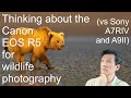 Thinking about the Canon EOS R5 for wildlife photography (vs Sony A7RIV and A9II)